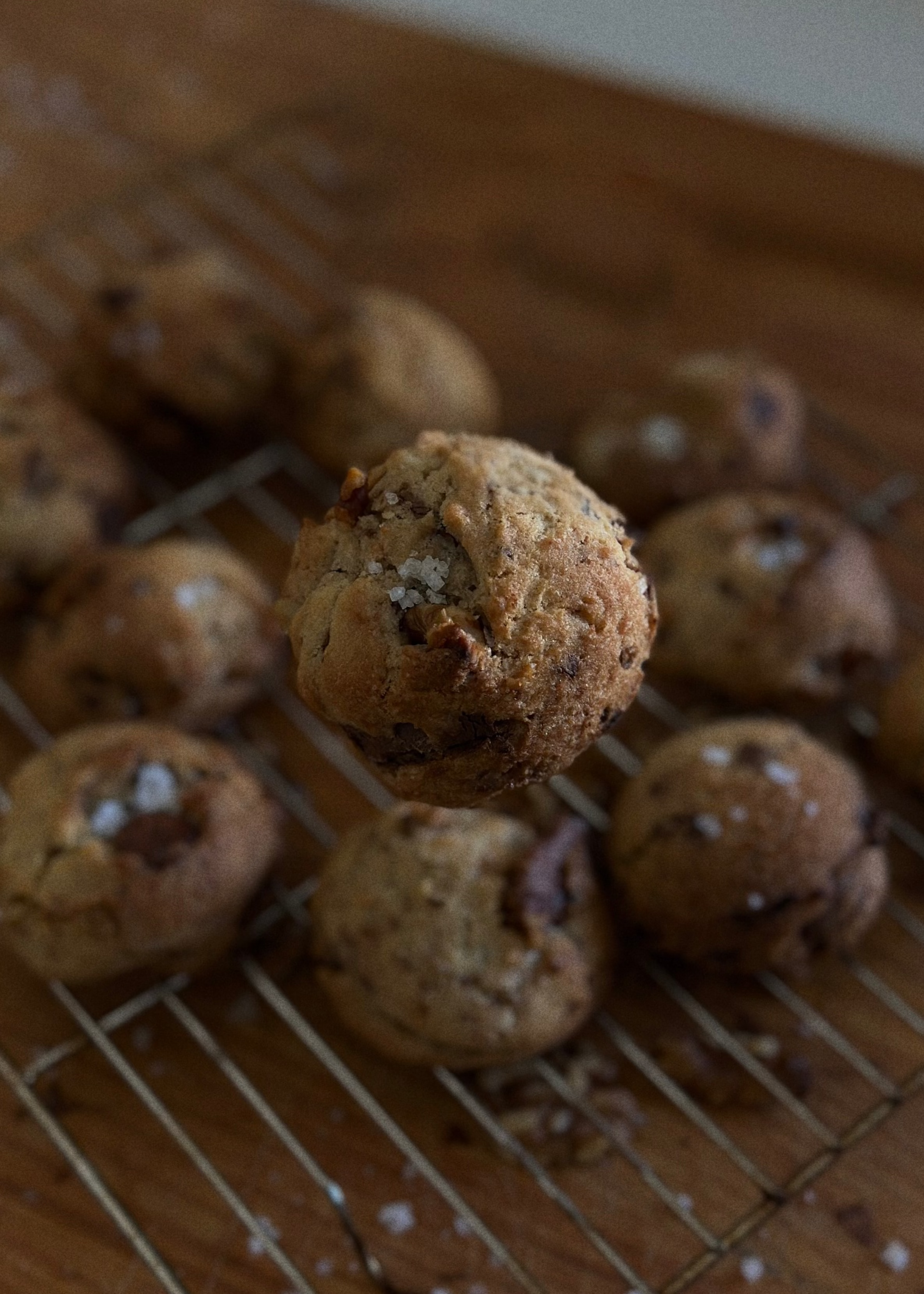 MINI Chocolate Chip Walnut Cookie