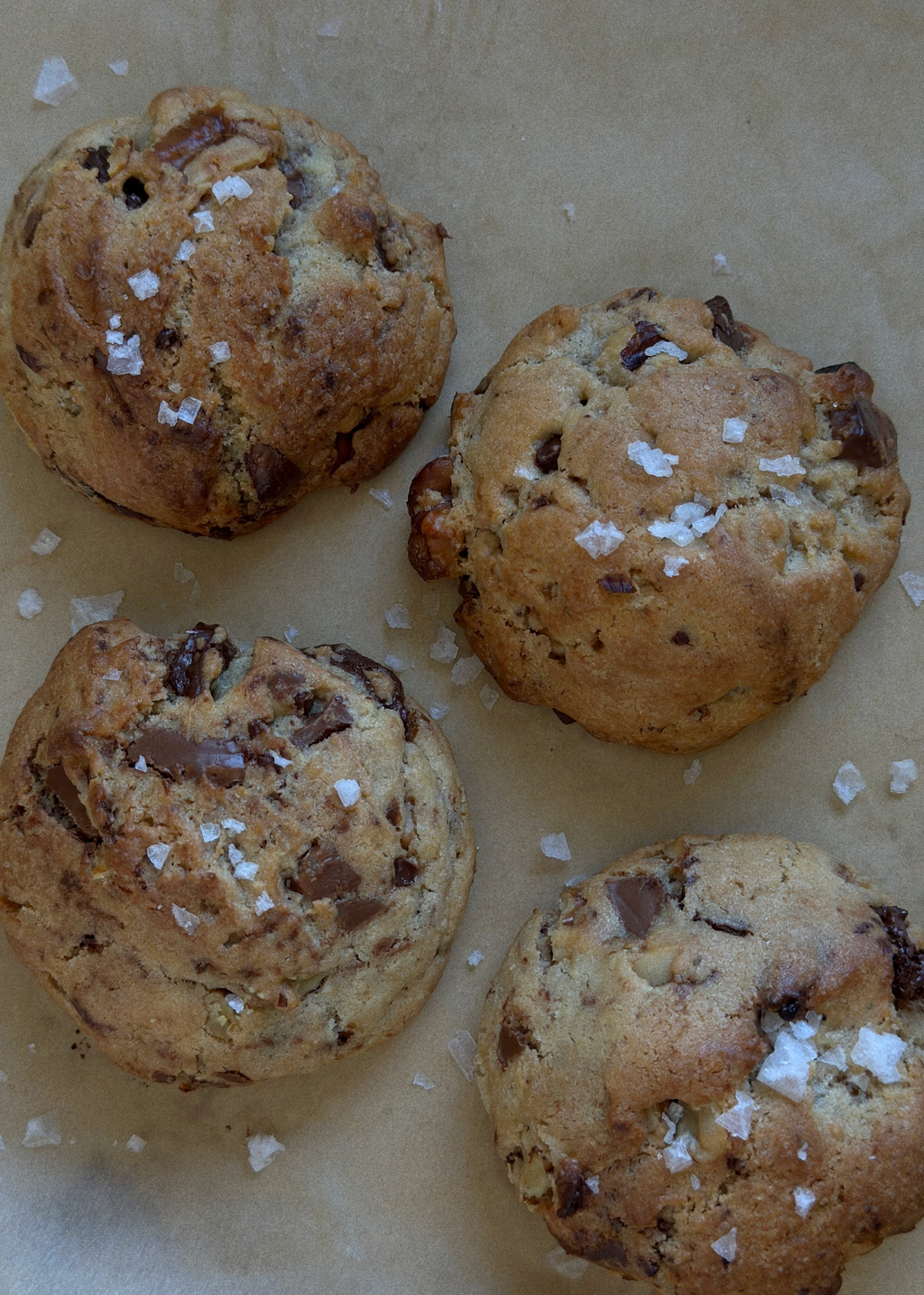 Chocolate Chip Walnut Cookie