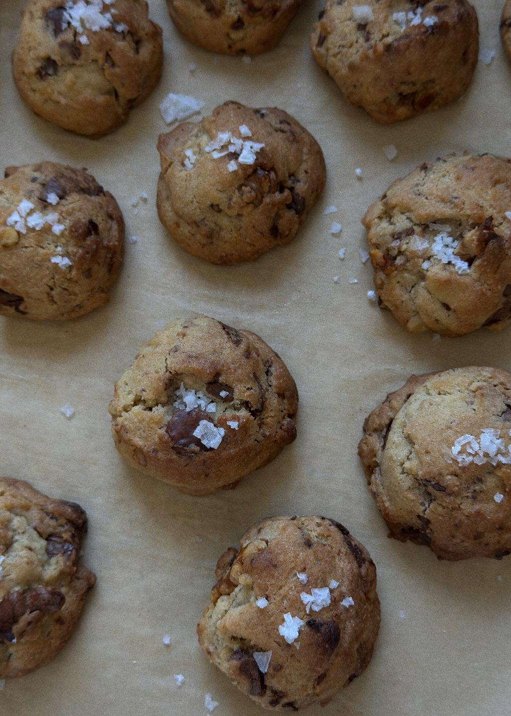 MINI Chocolate Chip Walnut Cookie