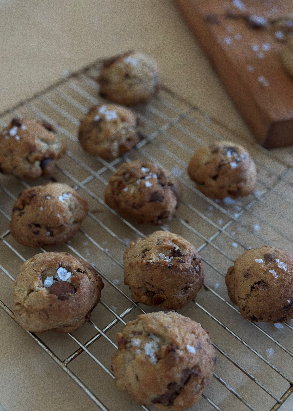 MINI Chocolate Chip Walnut Cookie
